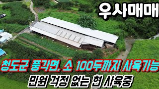 청도우사매매[NO--476].청도군 풍각면.소 100두까지 가능.기존 마을과 떨어진 민원 걱정 없는곳.#청도축사매매