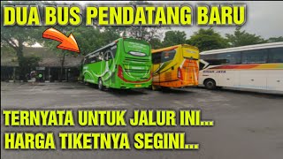 INILAH BUS PENDATANG BARU DI TERMINAL TIDAR MAGELANG || VIA JALUR TEMANGGUNG