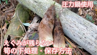 たけのこの下処理/長期保存/えぐみ無し/スカスカにならない/圧力鍋で時短