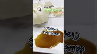 🇯🇵 오사카 교토여행 ep.01 |교토에서 단풍놀이🍁|오사카 시내트리🎄와 일루미네이션✨|먹방꿈나무 부부의 맛집 탐방기🍽|이치란,츠케멘,야끼니꾸,메론빵,호라이만두,응커피