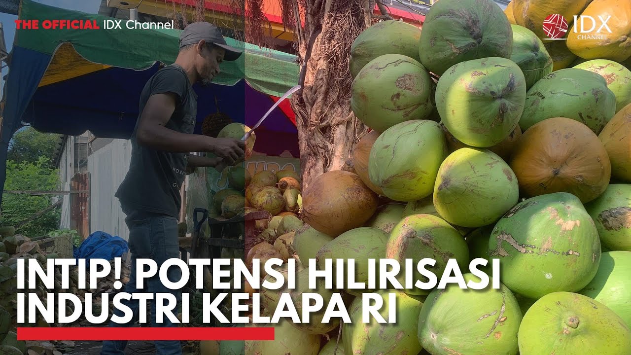 Intip! Potensi Hilirisasi Industri Kelapa RI | IDX CHANNEL - YouTube