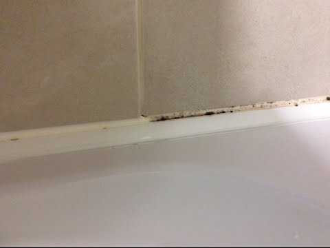 How To Remove Mold Mould From Silicone Sealant In Bathroom Shower How To Remove Mold Mould From Silicone Sealant In Bathroom Shower