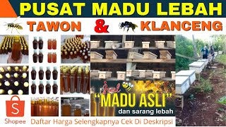 BELI MADU ASLI DIMANA