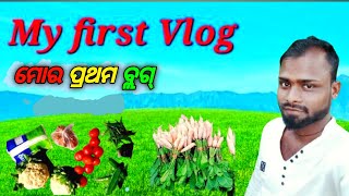 My First Vlog || ମୋର ପ୍ରଥମ ବ୍ଲଗ୍ || AnneJStory #shorts #blogger