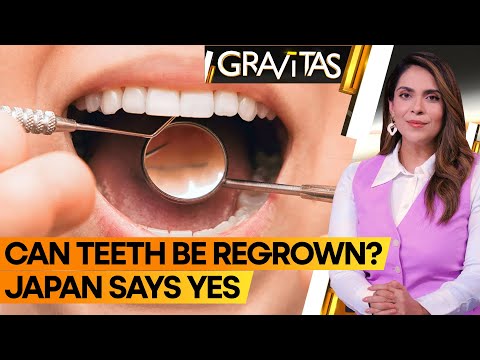 Do permanent teeth grow back?