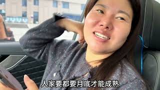 媳妇出差，又带着孩子回老家刨地种菜了，#记录真实生活 #日常vlog【奶茶阿姨儿】