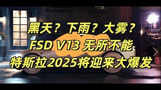 特斯拉2025年即将迎来爆发！黑天？下雨？大雾？FSD V13无所不能