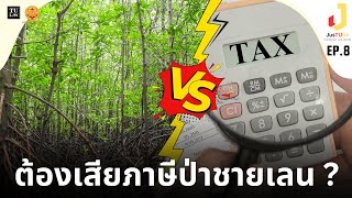 EP.8 : ป่าชายเลนต้องเสียภาษีที่ดิน???