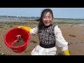 collected large goods in the reef area are extremely rich. niu niu came to catch the sea cucumber