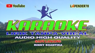 Sapi Lanang🎵Rinny Shantika 🎤 Karaoke lapender78