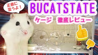 [Comprehensive review] Good and bad points after using BUCASTATE for over a year