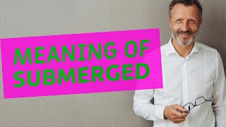 Submerged | Definition of submerged