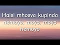 shashl nemoyo official lyric video