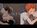 Haikyuu Kageyama x Oikawa x Hinata Moral of the Story