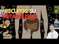 Trata tu metabolismo antes que cualquier enfermedad crónica Dr Javier E Moreno