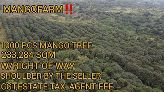 #vlog #186 MANGOFARM UMINGAN PANGASINAN 233,284 SQM 2 TITLE #realestate #investment #trending #lot