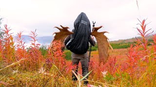 Alaska Hawke Hunt - Packing Out a Giant Bull Moose