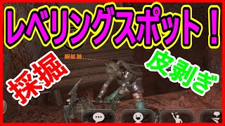 【エターナル】実況 初心者必見！ 採掘、採取、皮剥ぎの経験値を荒稼ぎできるレベリングスポットはココだ⁉ Eternal