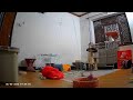 Live with Our Special Needs Kitties at Whisker House