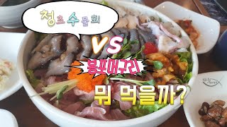 [속초여행vlog]  속초에 가면 꼭 먹어야 한다는/ 청초수물회vs봉포머구리집 솔직리뷰.feat.소고기전문가