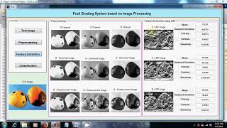 Fruit Grading System based on Image Processing | Image Processing | MATLAB | Fruit Defect Detection