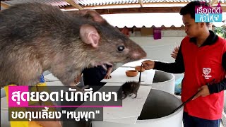 น.ศ.เลี้ยงหนูพุก หารายได้ระหว่างเรียน | เรื่องดีดีทั่วไทย | 5-5-66