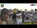 kali ll nawab abbas khan gopeara ll horse dance ll mari qutab kahroar pakka lodhran 30 january 20