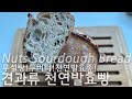 Eng sub_사워도우 초보도 쉽게 만들 수 있는 무반죽 견과류 듬뿍 천연발효빵 만들기🥖 | Super Easy Homemade Nuts Sourdough Bread Recipe