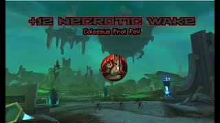 +12 Necrotic Wake - Colossus Prot PoV