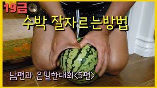 미국이민부부일상 소소한일상을 재밌게사는방법 수박자를때 주의해야할점