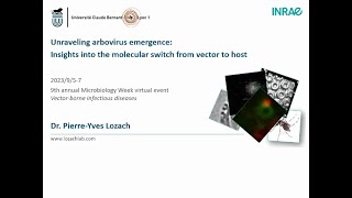 Unraveling Arbovirus Emergence: Insights into the Molecular Switch from Vector to Host