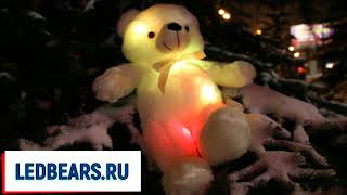 Светящийся мишка 50 см ledbears