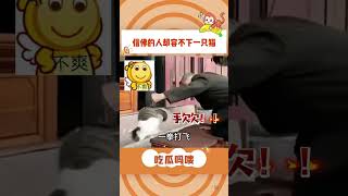 众生平等 #万万没想到 #猫咪 #成都 #文殊院 #喵星人#shorts