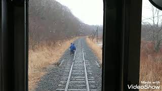 鹿と衝突！花咲線(根室本線)釧路行きに乗車♪【車窓・案内放送】【女子旅プリン】【201904】