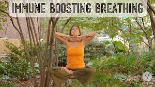 Immune Boosting Breathing: Fend Off