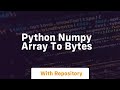 python numpy array to bytes