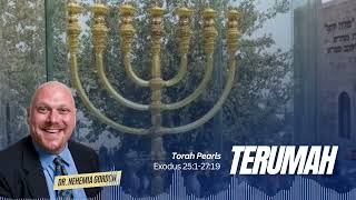 Torah Pearls #19 – Terumah (Exodus 25:1-27:19) - NehemiasWall.com