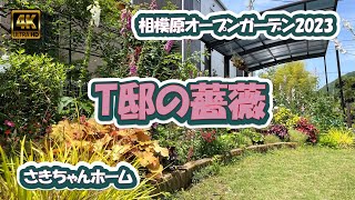 4K動画 相模原市オープンガーデン2023：T邸2023年年5月27日