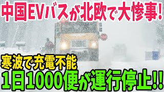 【海外の反応】北欧で中国BYD製電気EVバスのトラブルが続出！1日約1,000便のバスが運休になり市民の交通が大混乱【アメージングJAPAN】