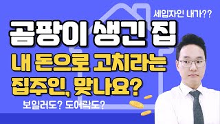 곰팡이, 보일러 같은 집 수리 비용, 누가 부담해야?(임대인의 수선의무)