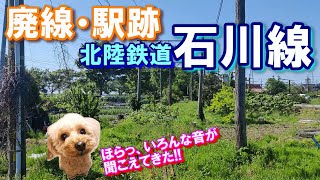 【北陸鉄道】【石川線】【廃線跡】を歩いてみた