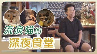 【愛在左右】流浪貓的深夜食堂