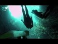 Alex H & Dj Massymo Tn - Beyond The Blue Horizon (Original Mix) [Music Video]
