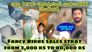 Jacobin fancy bird information AND SALES ।ವೈವಿದ್ಯಮಯ ಪಾರಿವಾಳಗಳು ಮಾರಾಟ