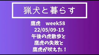 「猟犬と暮らす」week58