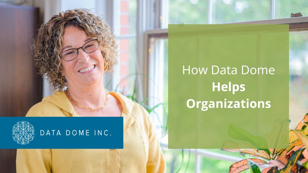 How Data Dome Helps Organizations Youtube