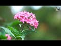 200 beautiful melodies best romantic piano instrumental love songs playlist great love songs ever