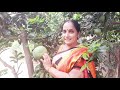 మా ఇంట్లో మొక్కలు చూడండి my garden tour 🪴🌻 kumari tammina