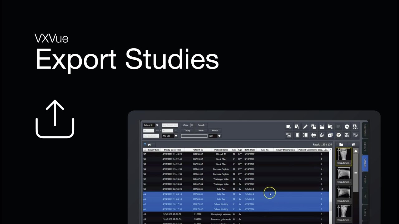 Export Youtube