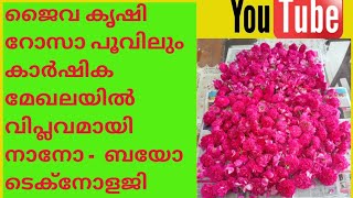 കർഷകർ മാറ്റം ഉൾകൊണ്ട് മുന്നേറുന്നു.പുത്തൻ വളപ്രയോഗം എല്ലാ വിളകളിലും വിളവ് നൽകുന്നു. 8547666622